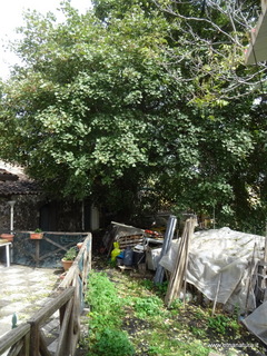 Acero di Caselle